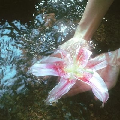 kiyo_0046's profile picture. 