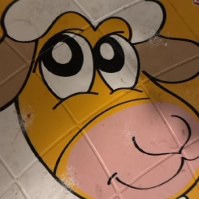 StubeEgita's profile picture. Nothing Personal, just chillin