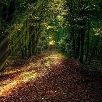 أؤمن أنّ الله لا يدعُ ثُقال الأيَّامِ تدُوم ، عُسرًا ثُمّ يُسرًا ثُمّ سرُورًا .