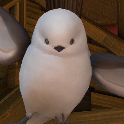 aumoe0329's profile picture. ほぼXのみの交流になりますが
仲良くしてもらえるとうれしいです🐧
双子のわんちゃん🐶の介助をしつつ
まったりのんびり旅をしてますっ🌎
【釣り竿で世界を救えると思っている🐟】
長年の相棒ﾗﾗﾌｪﾙ🍖@mofucat_oniku🍖
ﾊﾟｰﾄﾅｰ✨2025💍@apex_jin✨