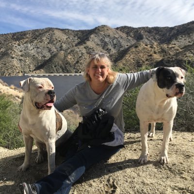 bonnypulliam661's profile picture. Float like a 🦋 sting like a 🐝