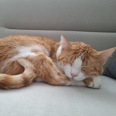 aysenbiricik's profile picture. Ayşen
