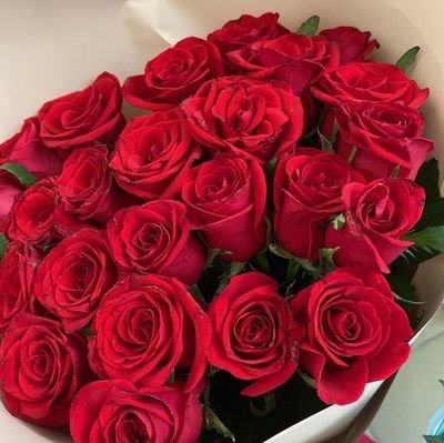 HFazza93793's profile picture. 