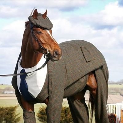 cavalo devidamente trajado de veste Sociais Sofisticadas.