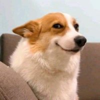 J Miner (@miner798249) 's Twitter Profile