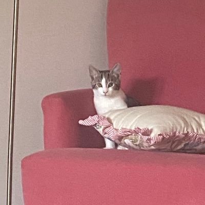 b62884's profile picture. 