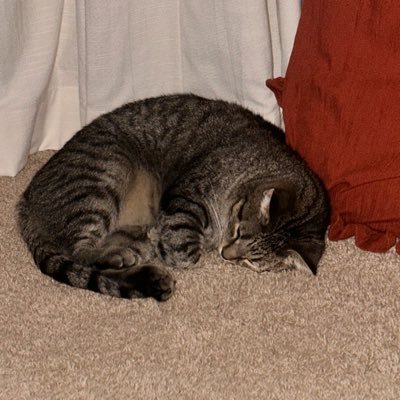 mrpicklepoots's profile picture. Sometimes your actions of good will send ripples across the world and change lives forever. Most will never know and that is what you sign up for.