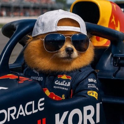 ColzysCorner's profile picture. Do Something Stupid.