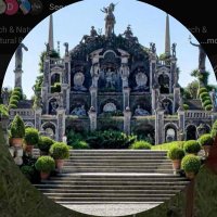 𝚃𝙴𝙲𝙷 & 𝙽𝙰𝚃𝚄𝚁𝙴 (@tech_nature01) 's Twitter Profile