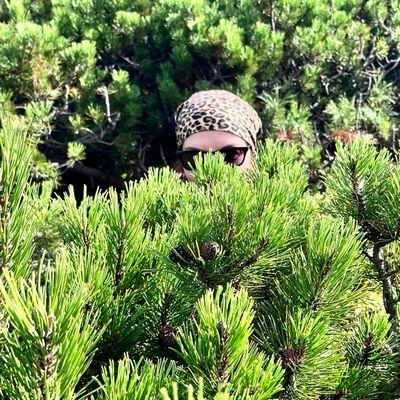 solomina_m's profile picture. по натуре я сталкер, охотник