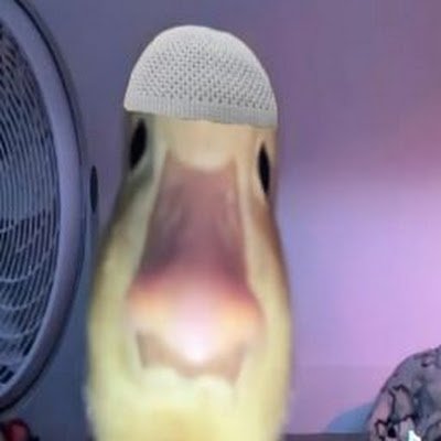 husnirophaa's profile picture. 