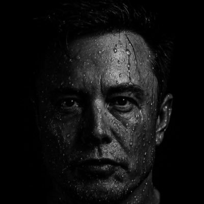 tesla_covert's profile picture. CEO - SpaceX 🚀Tesla🚘 Founder.