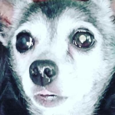 WitchPlease1972 Profile Picture