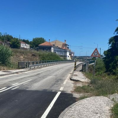 JosPedroOlive15's profile picture. 