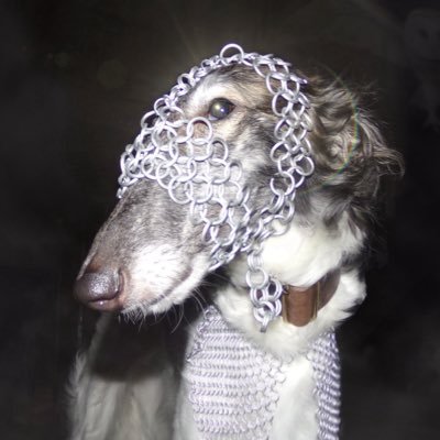 sighthound's profile picture. Luka's sounds & colors