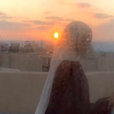 ( اللَّهُ نُورُ السَّماواتِ وَ الْأَرْضِ )
