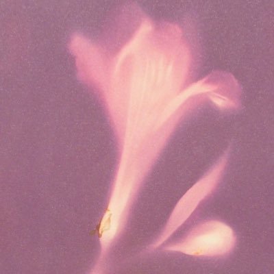 somaya_IJ's profile picture. 🦷