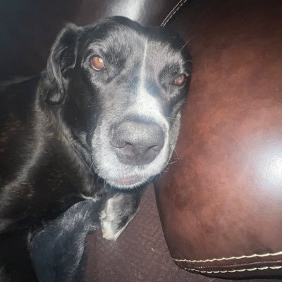 xxSneaky2k's profile picture. 