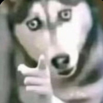 mistikrecep's profile picture. @mistoreco priw @receparsiv takip