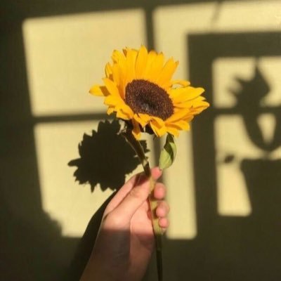 pla_di58796's profile picture. 