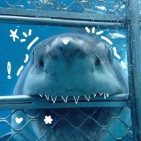 ★ (@therandomsystem) 's Twitter Profile