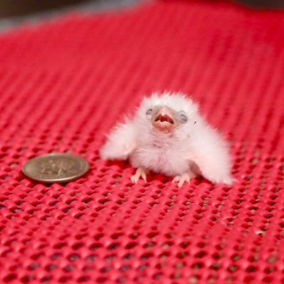 RiceFatty24934's profile picture. 