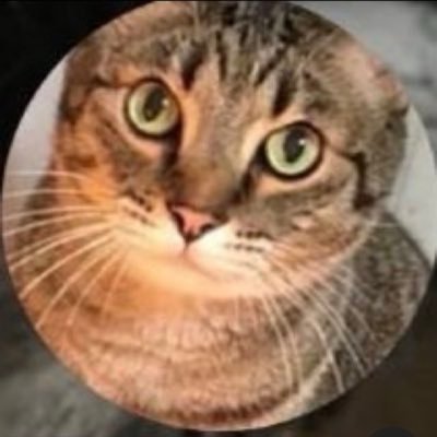 猫ちゃん大好き🐱💕マンチカン10歳の大ちゃんふたりで暮らしています🏠大ちゃんは5歳の時に腎臓の病気で入院したですが元気になって退院したです。大ちゃんは抱っこが苦手ですが、お尻をトントンが好きです。わたしが体調の悪い時は側で寄り添ってくれる優しい男の子🐱大切な家族です💞ツンデレ同盟💞