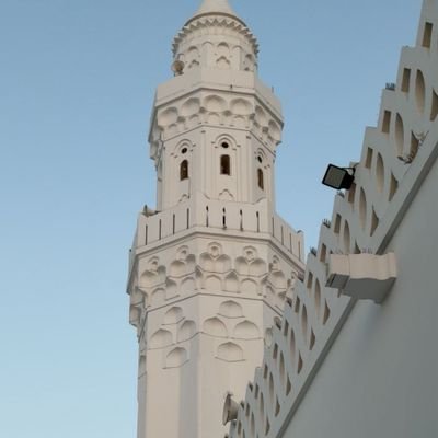 Ly783a's profile picture. 