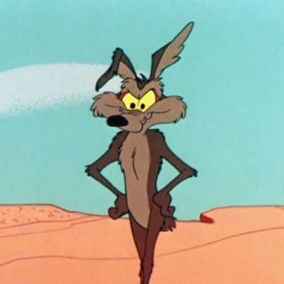 rafbuilds's profile picture. aerospace engineer, documenting my journey learning programming and building some things