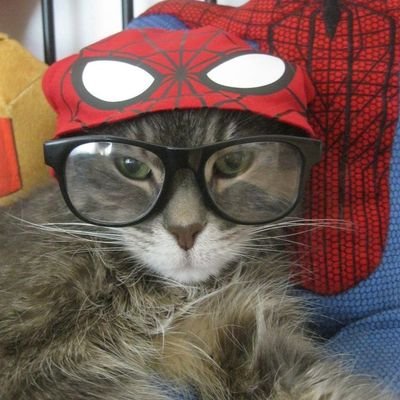 watashiguro's profile picture. ever since i was a jit knew i was the shit.....