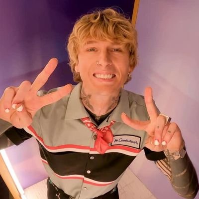 mgk • simple plan • linkin park • nf • breaking benjamin • sam and colby • camila cabello • cats • he/him