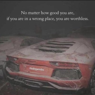 GSGmemner's profile picture. 
