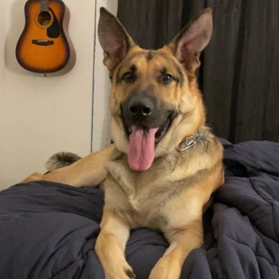 Deborah41898657's profile picture. NO DMs, I do not check DMs.