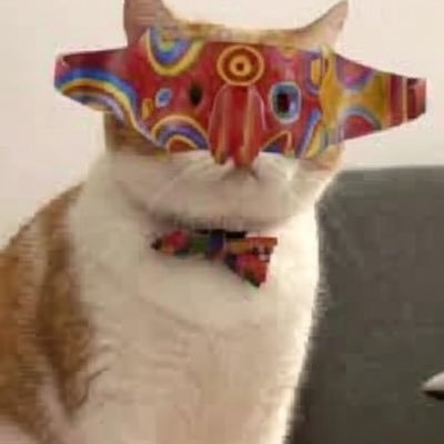 Justzlz's profile picture. kol=🤡