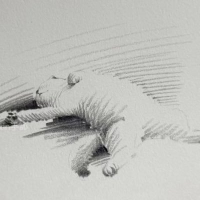 jaamujica's profile picture. 🎐