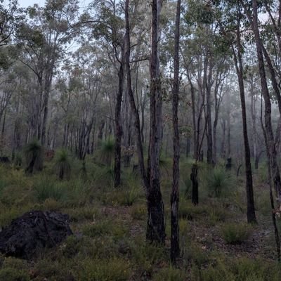 JakebBatka's profile picture. 