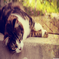 FreemanBob1818's profile picture. I'm a competitive person with diverse interests including videography, day trading. Currently working in pharmaceutical research and always looking for new oppo