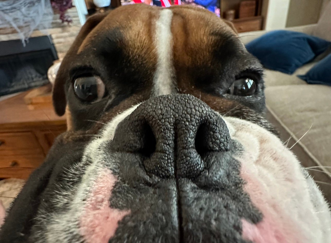 Rvelazquez72's profile picture. 