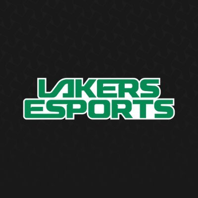 Official Twitter of Chicago's premier Collegiate Esports Program at @RooseveltU! | @CCEA_GG Member | #DefendTheBlock #RideTheWave | rulakersesports@gmail.com