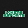 RULakersgg's profile picture. Chicago's premier Collegiate Esports Program at @RooseveltU! Competing nationally in VALORANT, League of Legends, CoD, Smash, & more.
