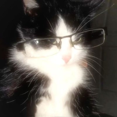 LucieC26248's profile picture. 