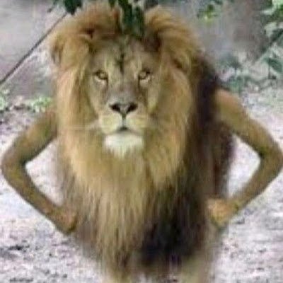 ABDAXTANK's profile picture. ABDAXTANK