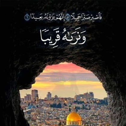 salahalden1973's profile picture. كن حرا أبحث عن الحقيقة الحياة قصيره لاتكن كلبا مطيعا لأحد. كن قويا عزيزا بقلب اسد ولاتخش أحد سوى الله وكن متأكدا أن الله دائما معك 
🇵🇸Live free and die free