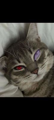 dilxsa5's profile picture. 