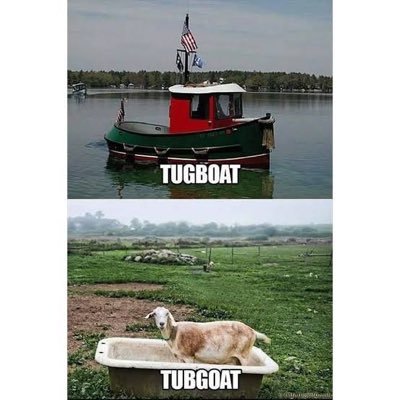 TUGBOAT VS TUBGOAT Profile