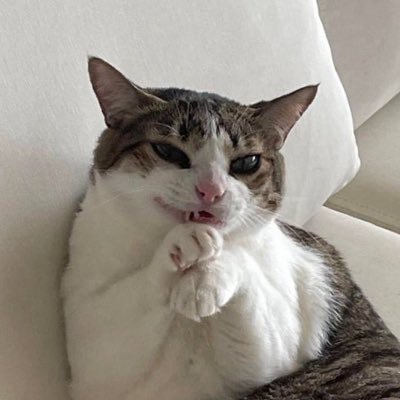 ___Cracked's profile picture. 