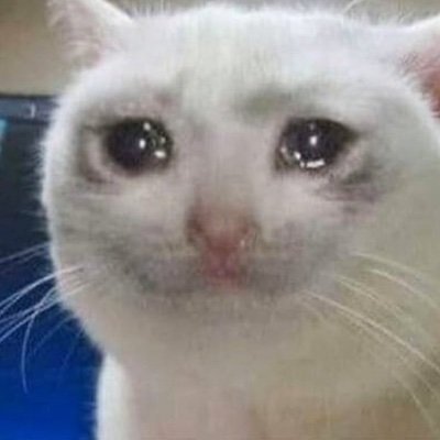 HologramZzzz's profile picture. 