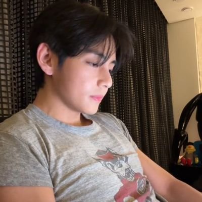 In Hibernation Mode || a KTH fan acc