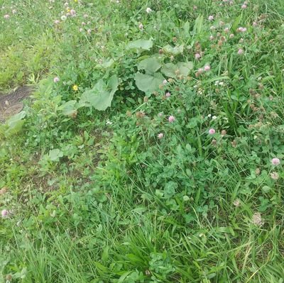 DNnRx7lIBdE4758's profile picture. アイコン北海道の冬模様に変更予定です、しばらくはパソコン関係の話しをメイン、ポイント運用/投資関係のポストは運用も安定してきたんでほどほどに。(11/15微調整改定) (スレッズアドレス　はらっぱ @    haratsupa64)