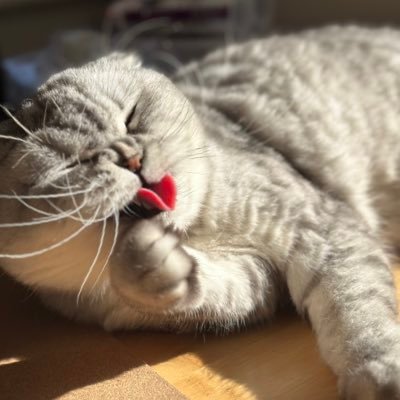 TheGood_Bean's profile picture. 